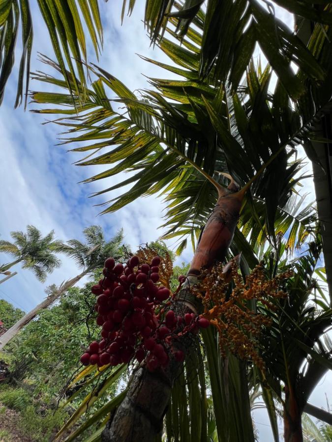 Hawaii Getaway Βίλα Holualoa Εξωτερικό φωτογραφία